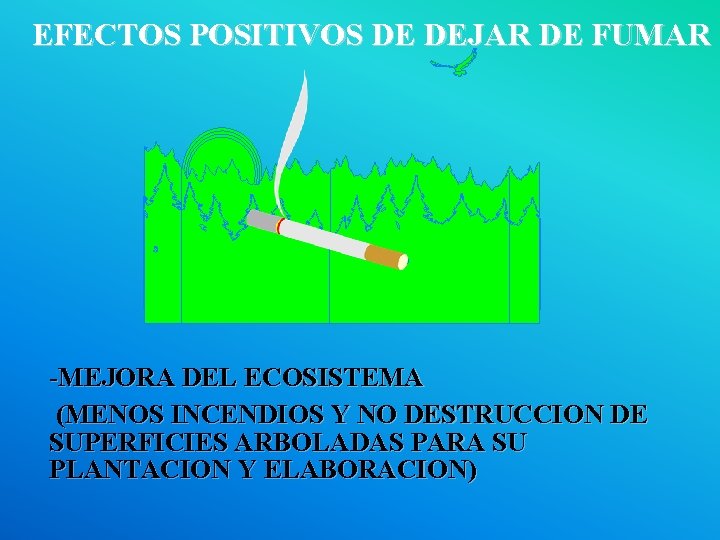 EFECTOS POSITIVOS DE DEJAR DE FUMAR -MEJORA DEL ECOSISTEMA (MENOS INCENDIOS Y NO DESTRUCCION