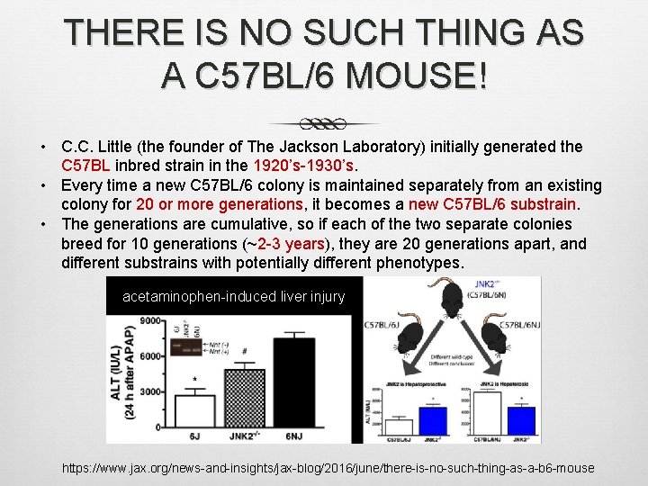 THERE IS NO SUCH THING AS A C 57 BL/6 MOUSE! • C. C.