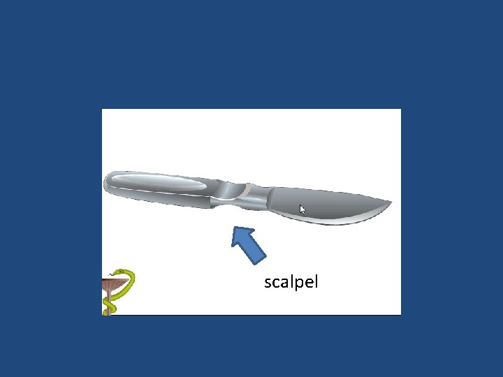 scalpel 