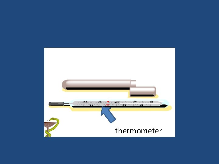 thermometer 