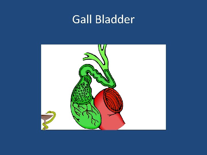 Gall Bladder 