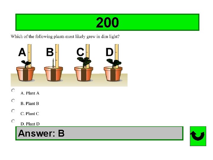 200 Answer: B 