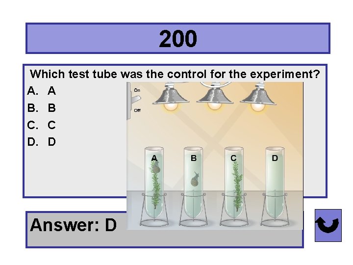 200 Which test tube was the control for the experiment? A. A B. B