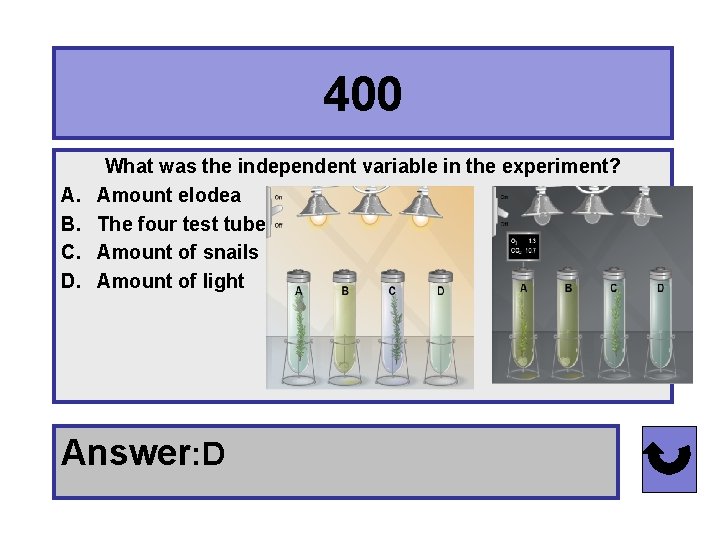 400 A. B. C. D. What was the independent variable in the experiment? Amount