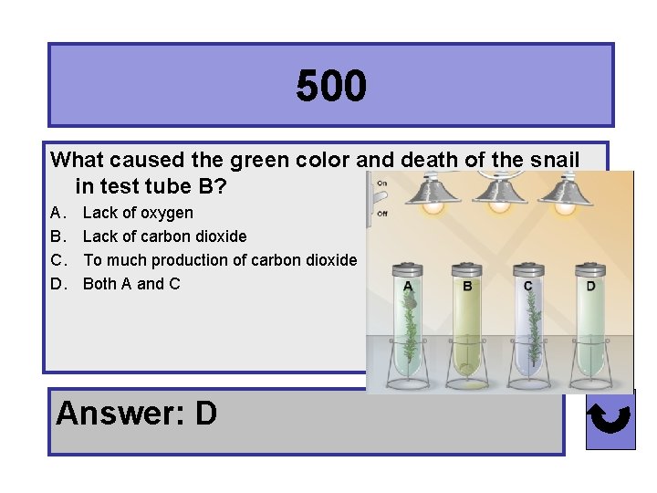 500 What caused the green color and death of the snail in test tube