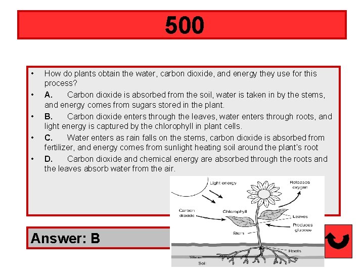  500 • • • How do plants obtain the water, carbon dioxide, and