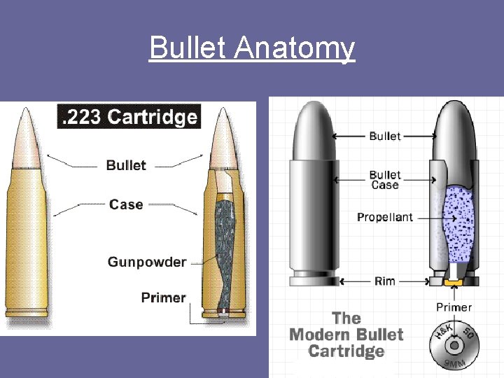 Bullet Anatomy 