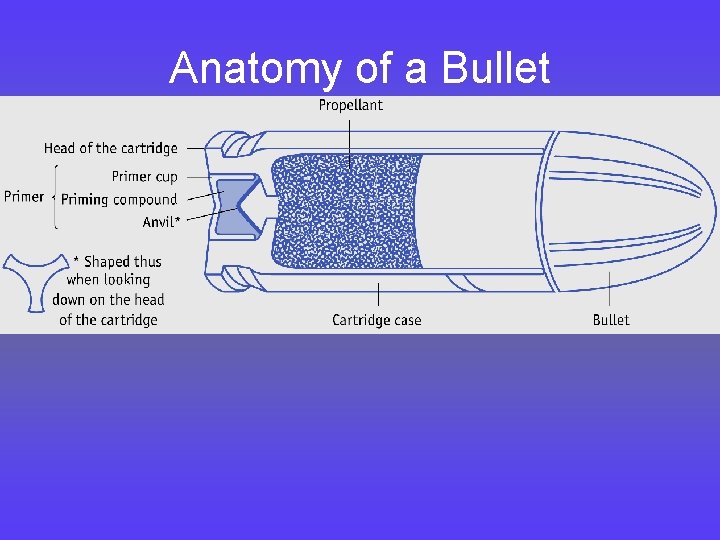 Anatomy of a Bullet 