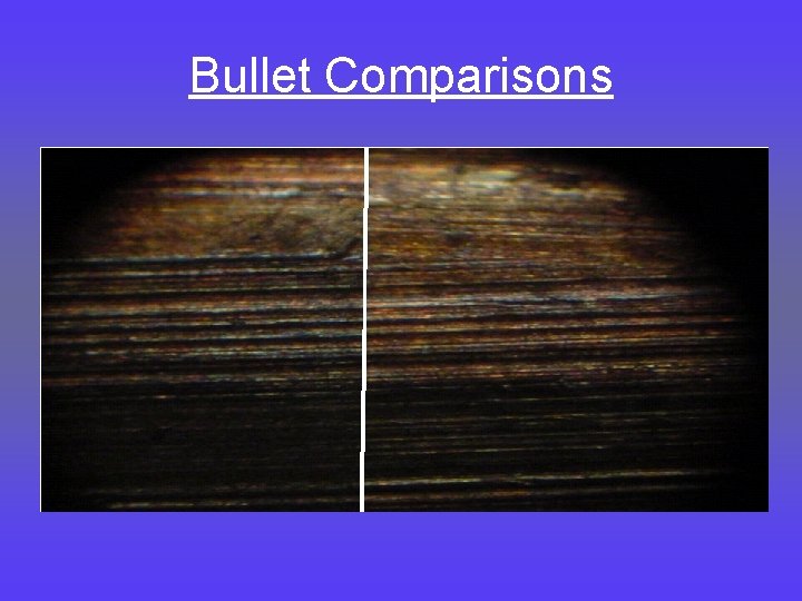Bullet Comparisons 