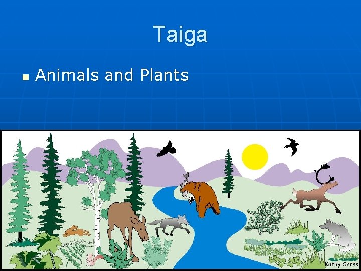 Taiga n Animals and Plants 