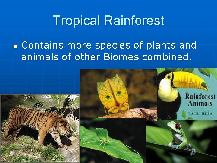 Tropical Rainforest n Contains more species of plants and animals of other Biomes combined.