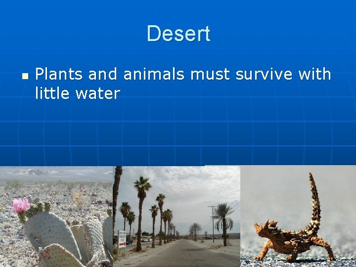 Desert n Plants and animals must survive with little water 