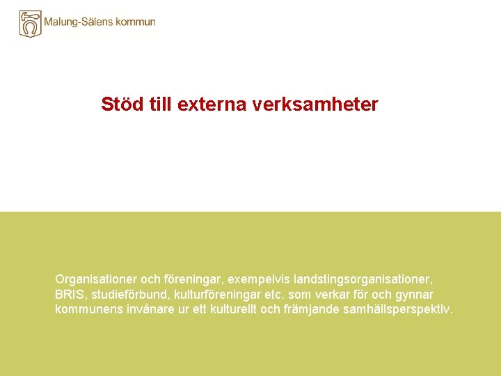 Stöd till externa verksamheter Organisationer och föreningar, exempelvis landstingsorganisationer, BRIS, studieförbund, kulturföreningar etc. som