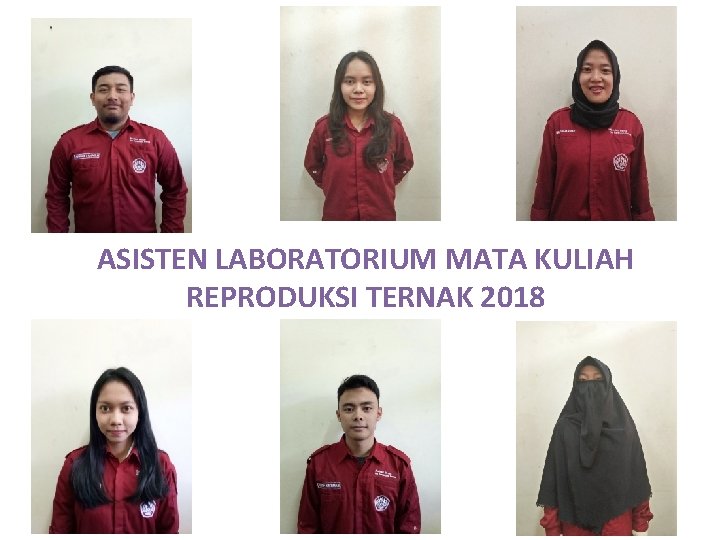 ASISTEN LABORATORIUM MATA KULIAH REPRODUKSI TERNAK 2018 