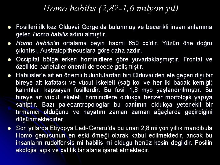 Homo habilis (2, 8? -1, 6 milyon yıl) l l l Fosilleri ilk kez