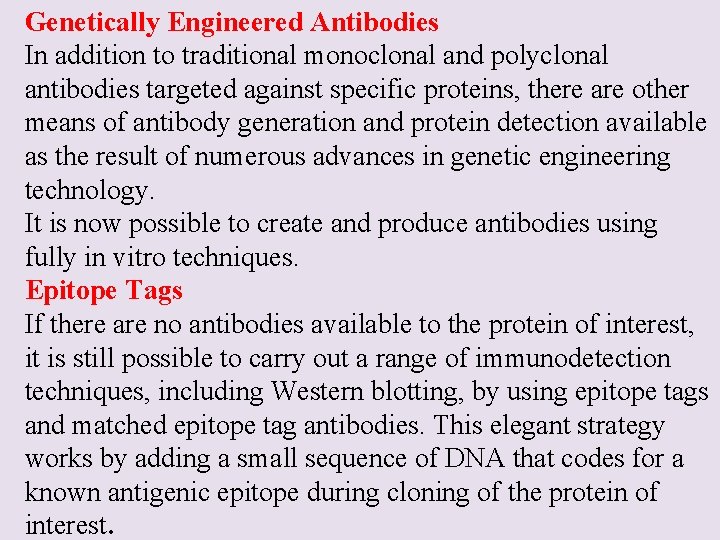 Genetically Engineered Antibodies In addition to traditional monoclonal and polyclonal antibodies targeted against specific