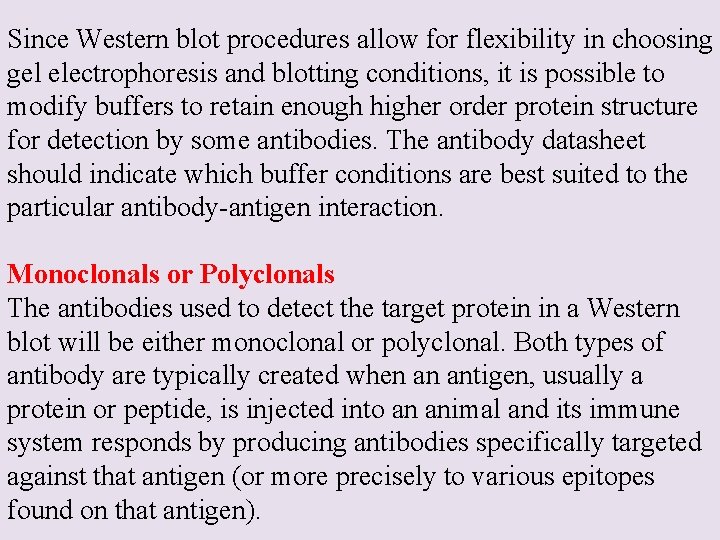 Since Western blot procedures allow for flexibility in choosing gel electrophoresis and blotting conditions,
