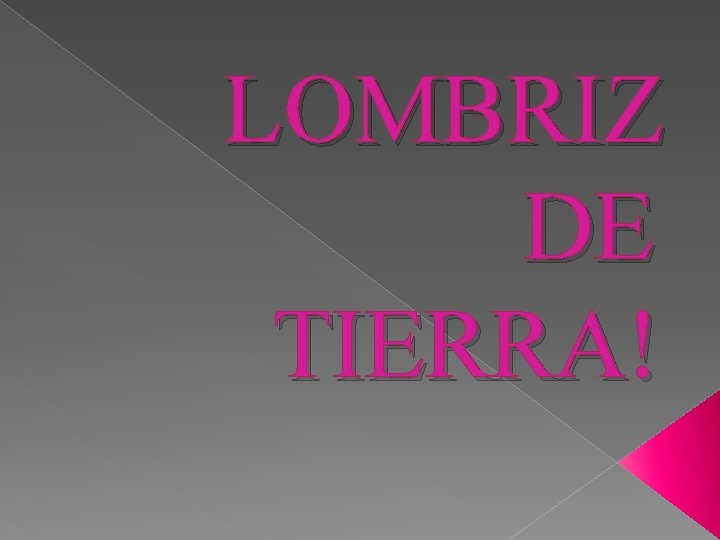 LOMBRIZ DE TIERRA! 