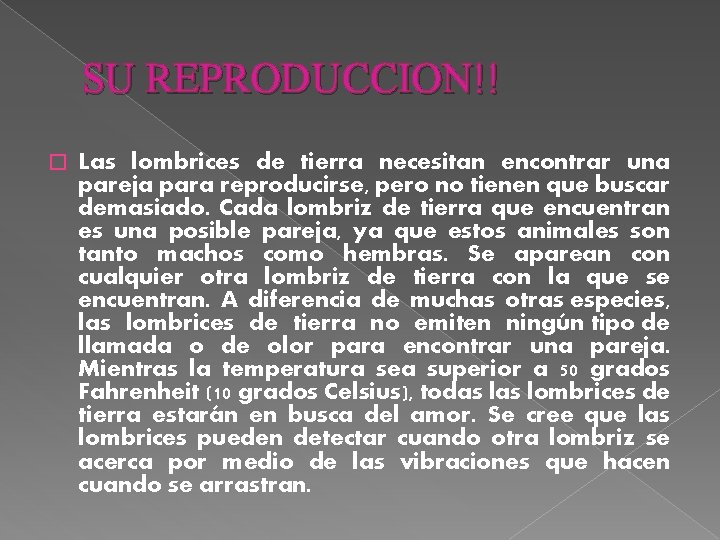 SU REPRODUCCION!! � Las lombrices de tierra necesitan encontrar una pareja para reproducirse, pero