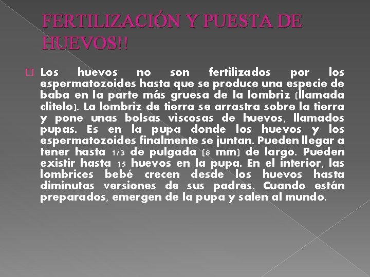FERTILIZACIÓN Y PUESTA DE HUEVOS!! � Los huevos no son fertilizados por los espermatozoides