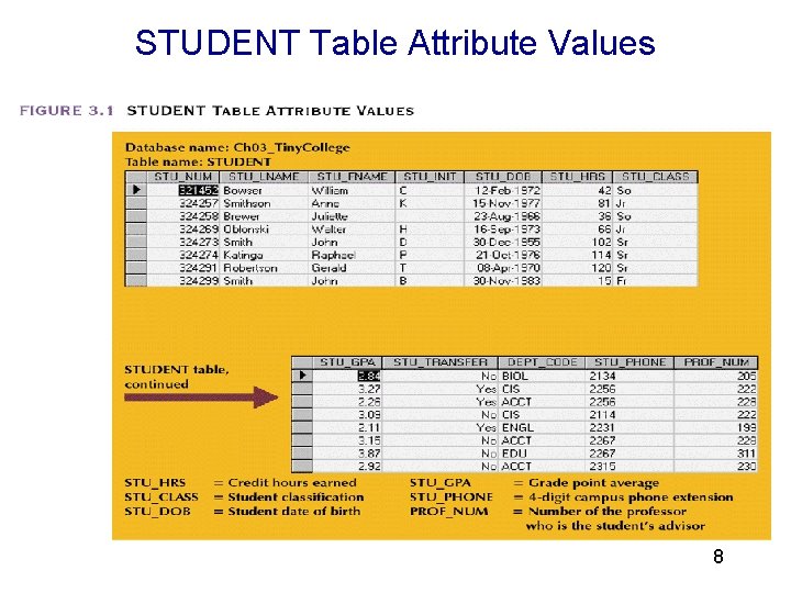 STUDENT Table Attribute Values 3 8 