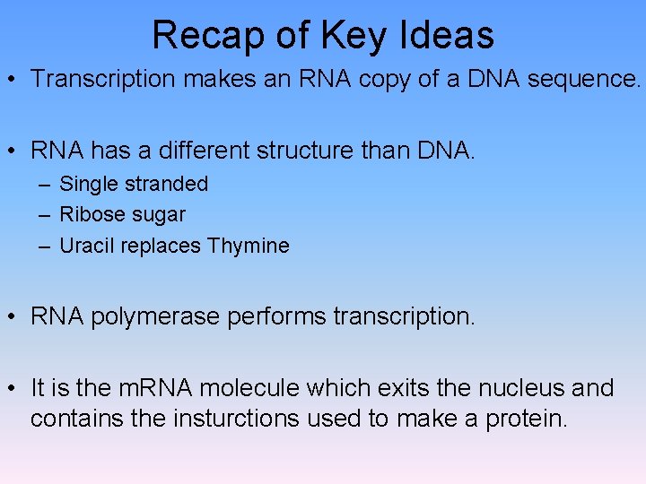 Recap of Key Ideas • Transcription makes an RNA copy of a DNA sequence.