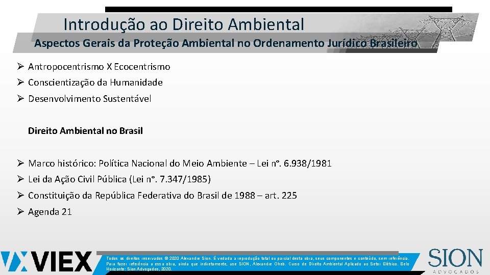  Introdução ao Direito Ambiental Aspectos Gerais da Proteção Ambiental no Ordenamento Jurídico Brasileiro