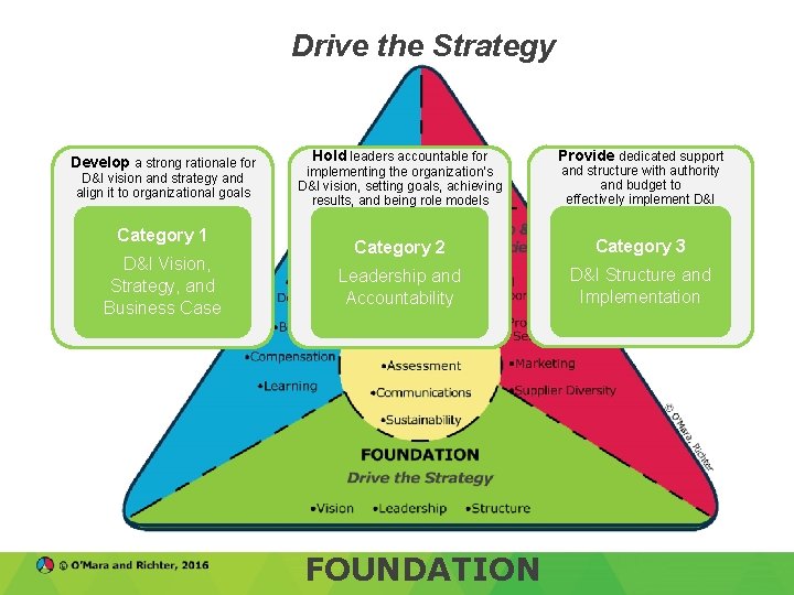 Drive the Strategy Provide dedicated support and structure with authority implementing the organization’s D&I
