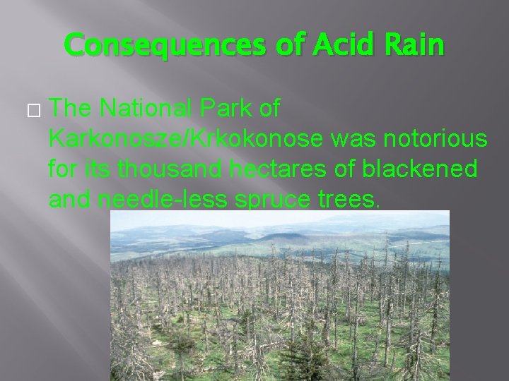 Consequences of Acid Rain � The National Park of Karkonosze/Krkokonose was notorious for its