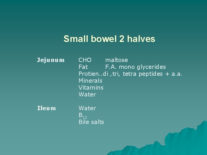 Small bowel 2 halves Jejunum CHO maltose Fat F. A. mono glycerides Protien. .