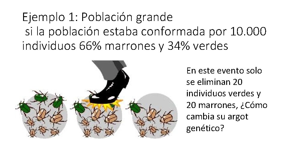 Ejemplo 1: Población grande si la población estaba conformada por 10. 000 individuos 66%