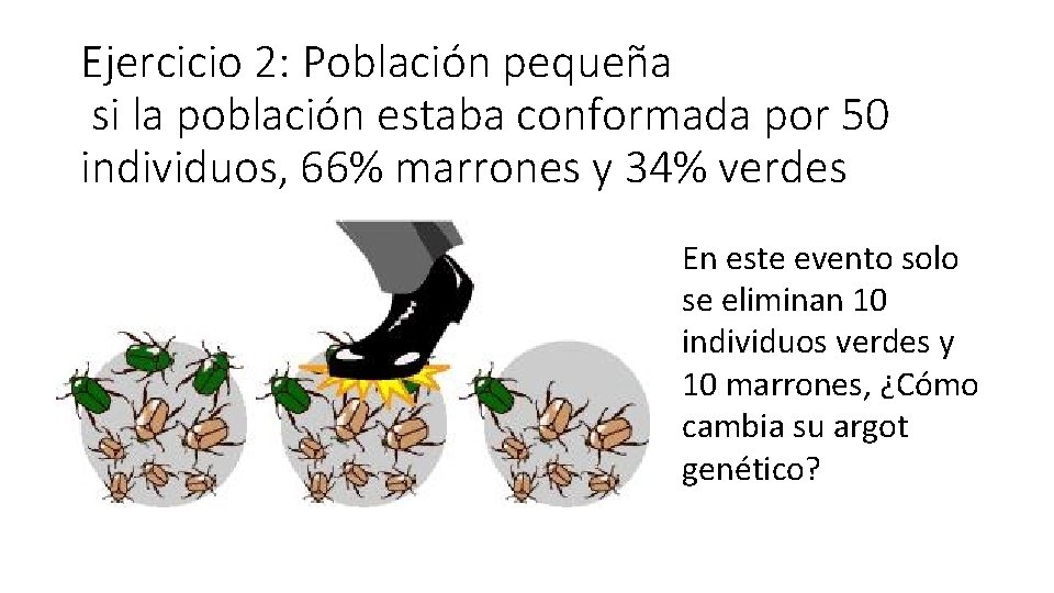 Ejercicio 2: Población pequeña si la población estaba conformada por 50 individuos, 66% marrones