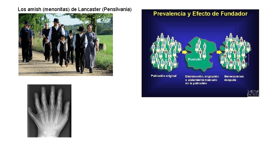 Los amish (menonitas) de Lancaster (Pensilvania) 