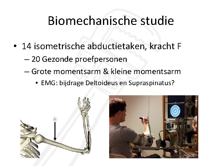 Biomechanische studie • 14 isometrische abductietaken, kracht F – 20 Gezonde proefpersonen – Grote