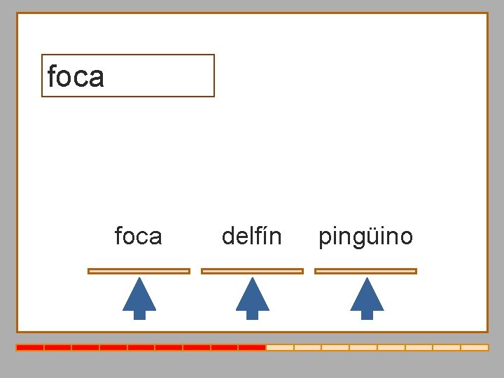 foca delfín pingüino 