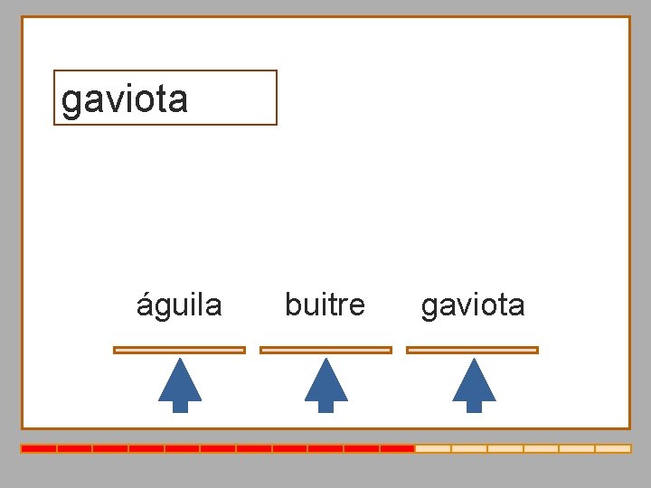 gaviota águila buitre gaviota 