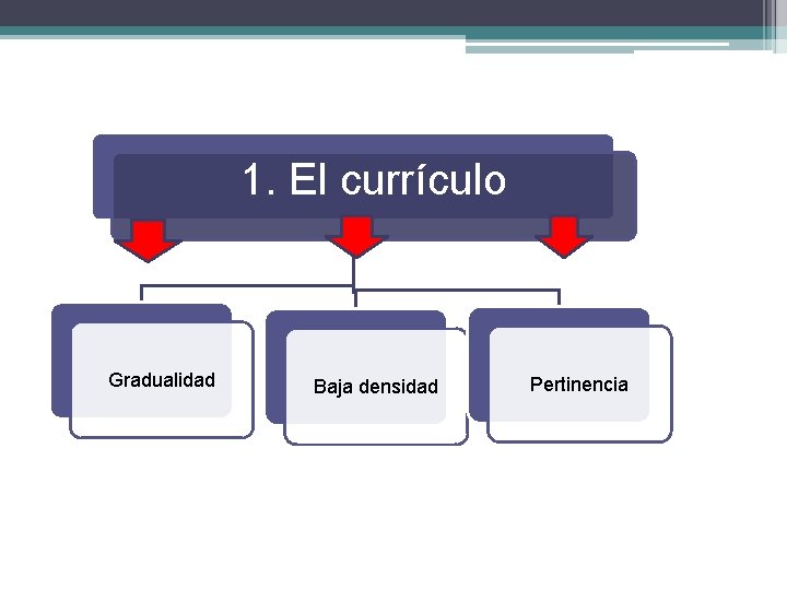 1. El currículo Gradualidad Baja densidad Pertinencia 