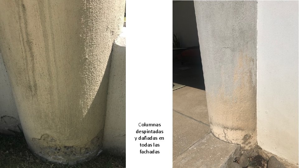 Columnas despintadas y dañadas en todas las fachadas 