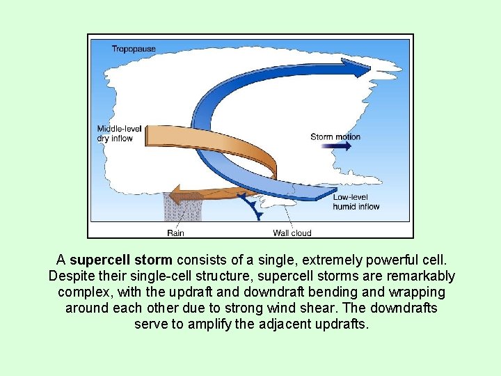 A supercell storm consists of a single, extremely powerful cell. Despite their single-cell structure,