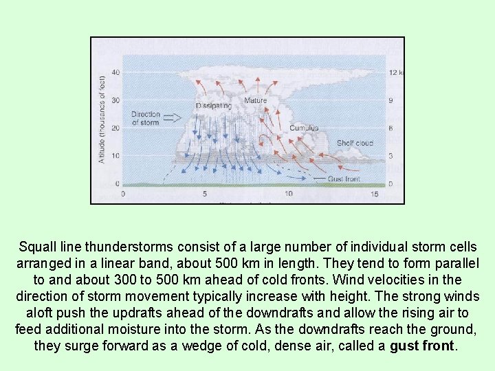 Squall line thunderstorms consist of a large number of individual storm cells arranged in