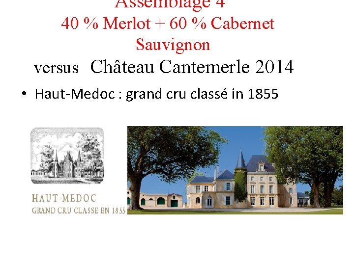 Assemblage 4 40 % Merlot + 60 % Cabernet Sauvignon versus Château Cantemerle 2014