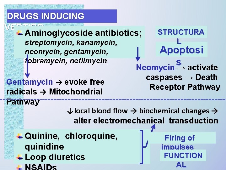 DRUGS INDUCING VERTIGO Aminoglycoside antibiotics; streptomycin, kanamycin, neomycin, gentamycin, tobramycin, netlimycin STRUCTURA L Apoptosi