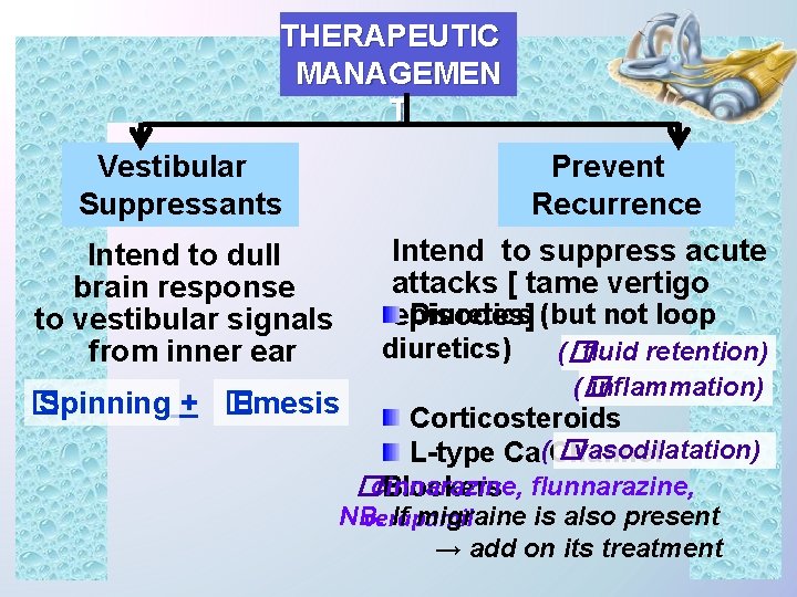 THERAPEUTIC MANAGEMEN T Vestibular Suppressants Prevent Recurrence Intend to suppress acute attacks [ tame