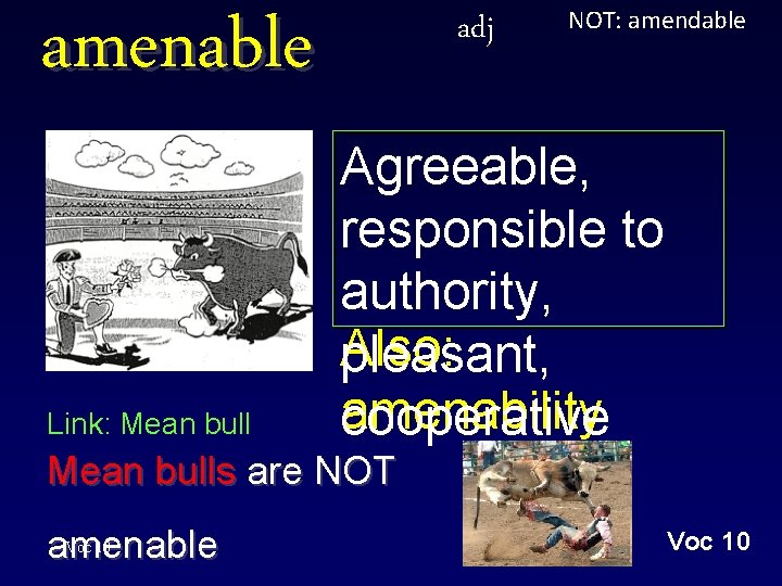 amenable Link: Mean bull adj NOT: amendable Agreeable, responsible to authority, Also: pleasant, amenability