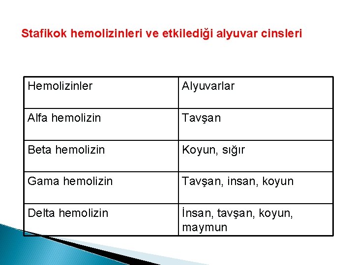 Stafikok hemolizinleri ve etkilediği alyuvar cinsleri Hemolizinler Alyuvarlar Alfa hemolizin Tavşan Beta hemolizin Koyun,