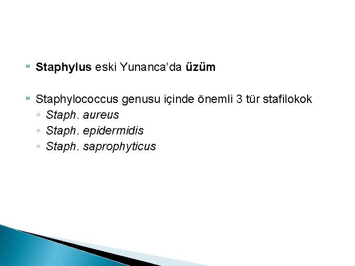  Staphylus eski Yunanca’da üzüm Staphylococcus genusu içinde önemli 3 tür stafilokok ◦ Staph.