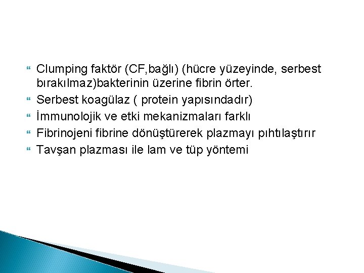  Clumping faktör (CF, bağlı) (hücre yüzeyinde, serbest bırakılmaz)bakterinin üzerine fibrin örter. Serbest koagülaz