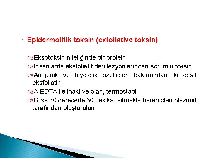 ◦ Epidermolitik toksin (exfoliative toksin) Eksotoksin niteliğinde bir protein İnsanlarda eksfoliatif deri lezyonlarından sorumlu