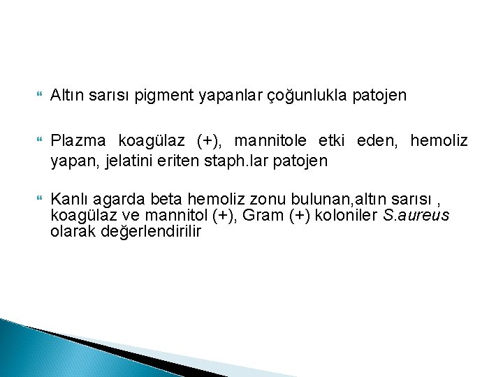  Altın sarısı pigment yapanlar çoğunlukla patojen Plazma koagülaz (+), mannitole etki eden, hemoliz