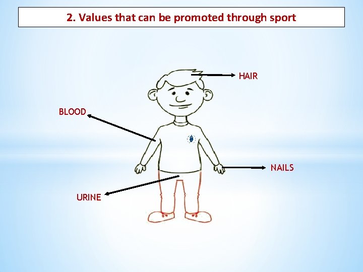 2. Values that can be promoted through sport HAIR BLOOD NAILS URINE 